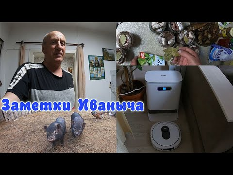 Видео: Домашние дела, рыбные блюда и чудо-техника