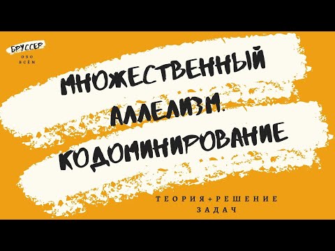 Видео: Множественный аллелизм.  Кодоминирование