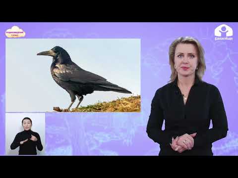 Видео: 2-класс |  Родиноведение |   Весна в нашем краю