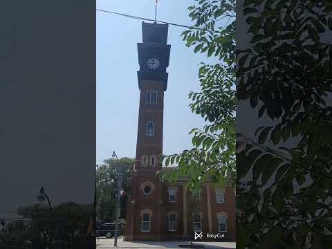 Видео: Поход в фудбанк Торонто