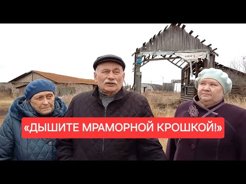 Видео: «ДЫШИТЕ МРАМОРНОЙ КРОШКОЙ!»