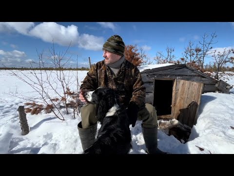 Видео: Старая избушка еще послужит