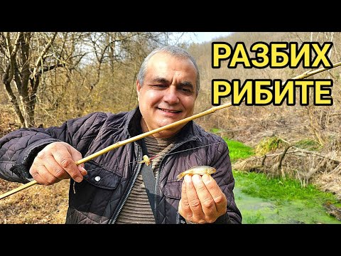 Видео: Страхотен речен риболов! Примамих рибите с мърдащо червейче! Хванах трофейна риба!