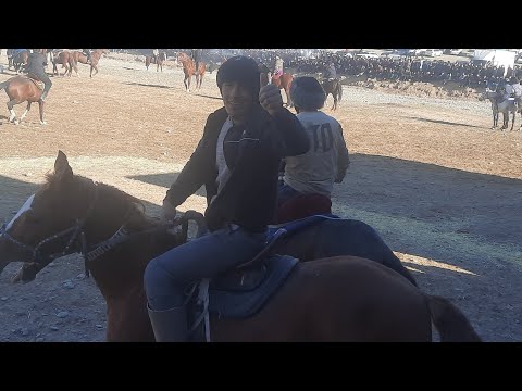 Видео: Бузкаши Колхозчиё кисми 2. 01 01 2024.