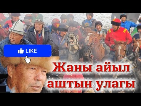 Видео: Шумкар Ала-тоонун чон Атасына арналган улак