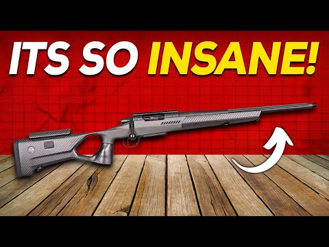 Видео: Никто не говорит об этих винтовках в 2025 году, но они — настоящие ЗВЕРИ!