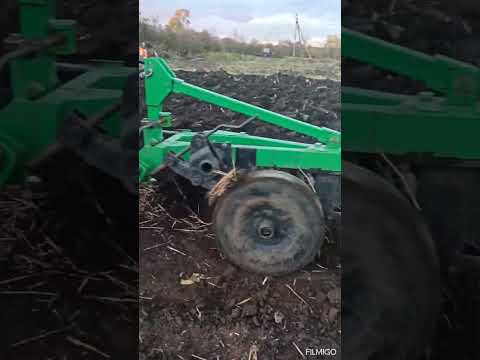 Видео: Оранка в разгарі.