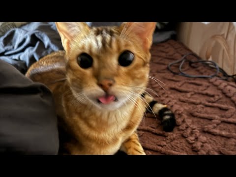 Видео: Снова здравствуйте 🌺🤗 Мы на пмж 🫡