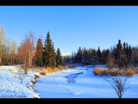 Видео: I.Z. лив: СГОНЯЛ НА ДАЧУ.