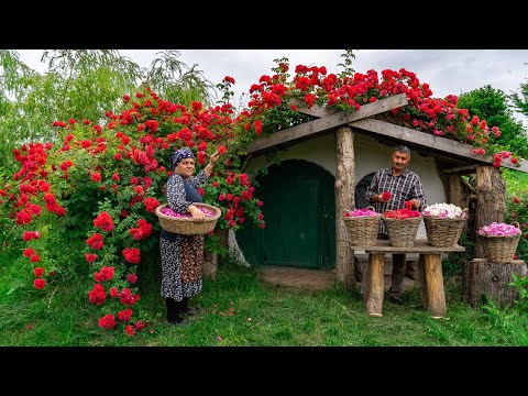 Видео: 🌹 Традиционное Розовое Варенье: Домашний Рецепт из Свежих Роз