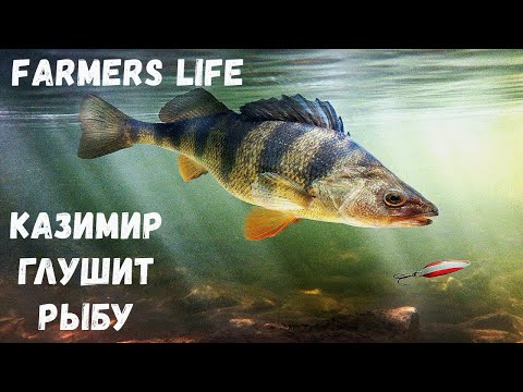 Видео: Farmer's Life - КАЗИМИР глушит РЫБУ.  Делаю ЯЩИК для МЯСА # 86