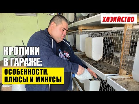 Видео: Кролики в гараже: условия содержания, автономность и смысл