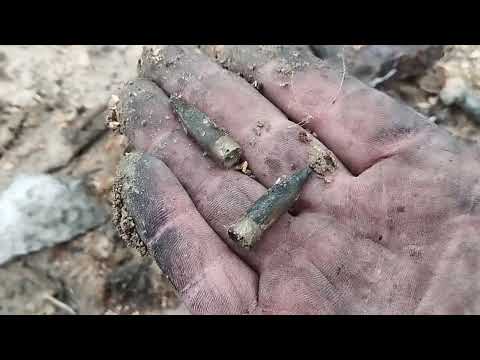 Видео: Знайшов заначку-патронів пачку!