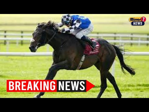 Видео: Кубок Мельбурна 2025: растущие надежды, сказки и яростные соперники