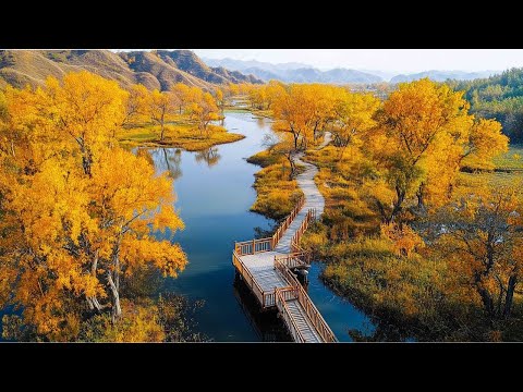 Видео: ВОССТАНОВЛЕНИЕ НЕРВНОЙ СИСТЕМЫ - Осень - ЗОЛОТАЯ ОСЕНЬ! Почему все слушают эту песню о любви?