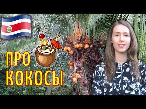 Видео: КОСТА РИКА: Как открыть кокос?