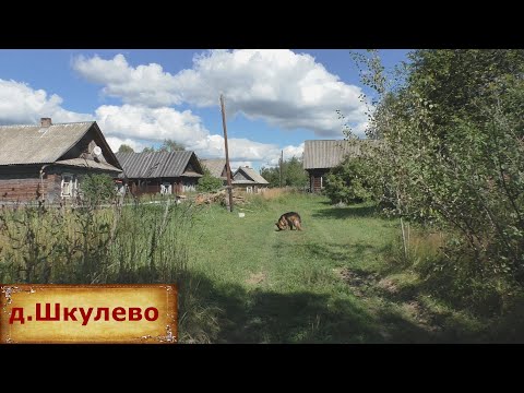 Видео: Затерянная деревня в лесу. Нежилая деревня на севере области. Кто-то живет в деревне?