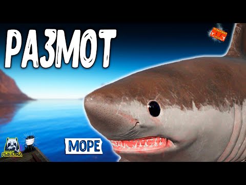 Видео: 🔴 РР4/ рыбалка для души, ловим как универсал, общаемся 12.11.2025