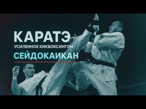 Видео: Сейдокаикан - каратэ усиленное кикбоксингом