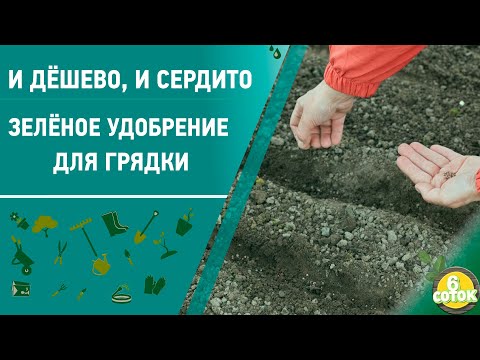 Видео: И дёшево, и сердито. Зелёное удобрение для грядки. 6 соток 26.10.2020