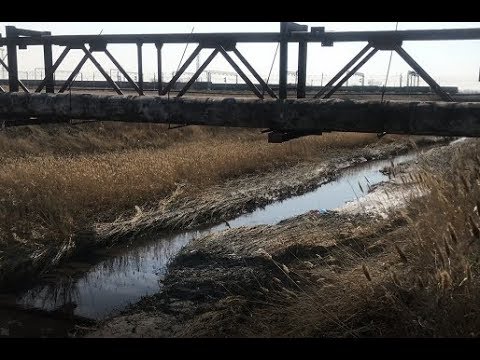 Видео: Точка отсчёта экологической катастрофы в Темиртау.