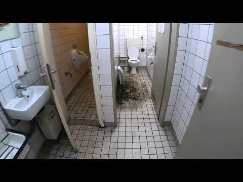 Видео: Кемпинг 509. На станции маленьких зеленых призраков