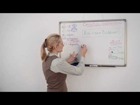 Видео: Уроки Китайского  Занятие 06  Структура предложения