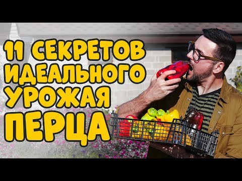 Видео: 11 СЕКРЕТОВ ВЫРАЩИВАНИЯ СЛАДКОГО ПЕРЦА\\ ЛУЧШИЕ УРОЖАЙНЫЕ СОРТА