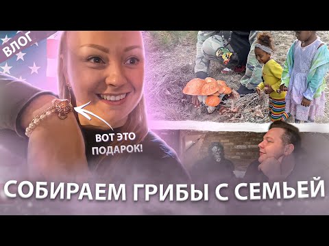 Видео: БУКЕТ ИЗ ПОДОСИНОВИКОВ /ПОЛНЫЕ КОРЗИНЫ ГРИБОВ / И ДРУЗЕЙ УЖЕ УВЛЕКЛА  СБОРОМ ГРИБОВ / МОЯ РАБОТА