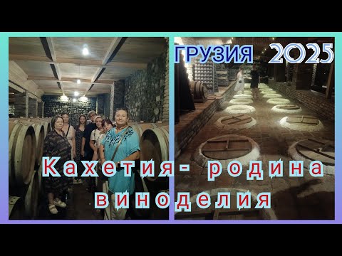 Видео: А вы знали как делают вино? Кахетия- родина вина. Грузия. 2 часть. #кахетия