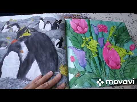 Видео: Коллекция раскрасок антистресс 2022. 4 часть.