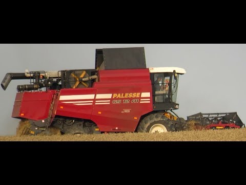 Видео: [Уборка Пшеницы] Новинка - Палессе GS12 A1, CLAAS Lexion 570, 2Х Палессе GS12