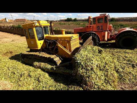 Видео: Заготовка силоса идет на малых оборотах! Но у нас всегда есть план В! Ждите хорошие новости!