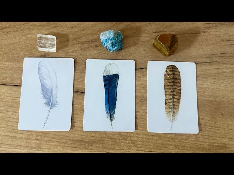 Видео: Та мөнгө санхүүгийн байдлаа дээшлүүлэхийн тулд юу хийх хэрэгтэй вэ? | Тарот уншлага 💰💎