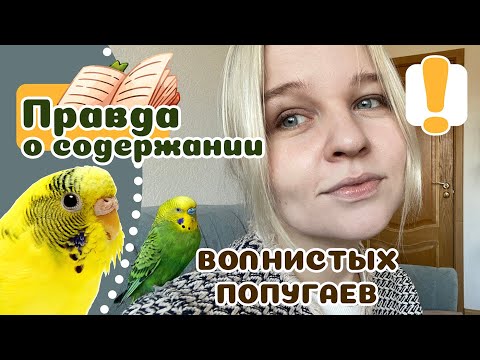 Видео: 20 вещей о ВОЛНИСТИКАХ, что нужно знать, прежде чем завести.