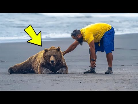 Видео: Медведь РЫДАЛ у него в ногах... но КОГДА он понял ПРИЧИНУ – СТАЛО СТРАШНО.
