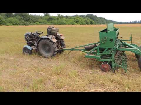 Видео: МОЙ ПЕРВЫЙ ГЕКТАР прямого посева.Гречка.20.07.2021.No-till с ноля.