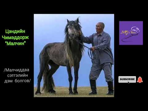Видео: Цэндийн Чимэддорж "Малчин". "Болор цом 1989" наадмын тэргүүн шүлэг.