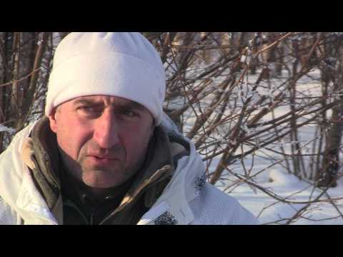 Видео: Про охоту и охотников с Валерием Кузенковым. Сезон 2. Зимняя охота на лис и зайцев