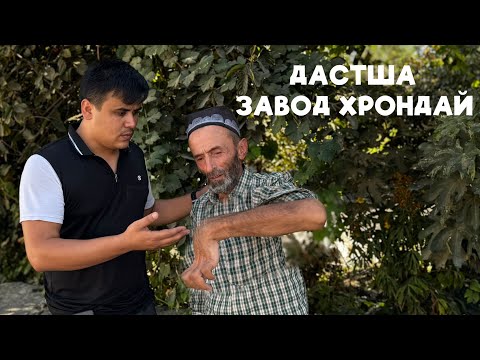 Видео: Марде ки 4 духтар дора писар не.Дастша бинед завод хрондай.Хама азоби вазмини хонара хдм мекнм чокнм