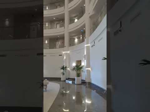 Видео: 30 сентября 2025 г.