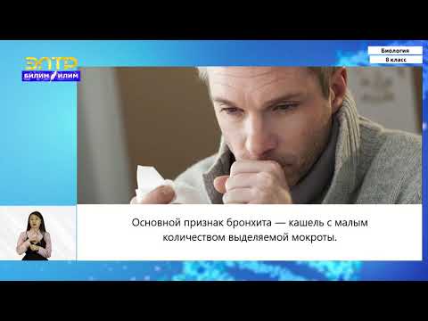 Видео: 8-класс | Биология |  Гигиена дыхания