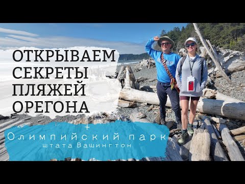 Видео: Лучшие места побережья ОРЕГОНА и ВАШИНГТОНА. Едем в Олимпийский парк!