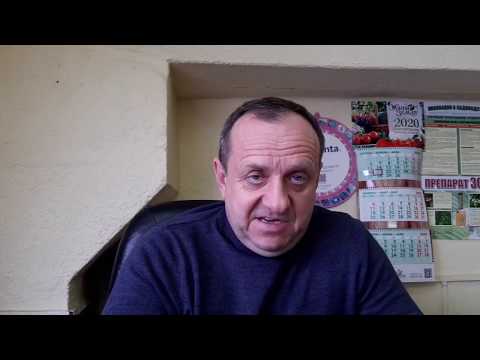 Видео: Защита растений от засухи. Когда делать третью весеннюю обработку?