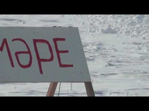 Видео: Жанажол Алемказы 1 жас жабағы жарыс