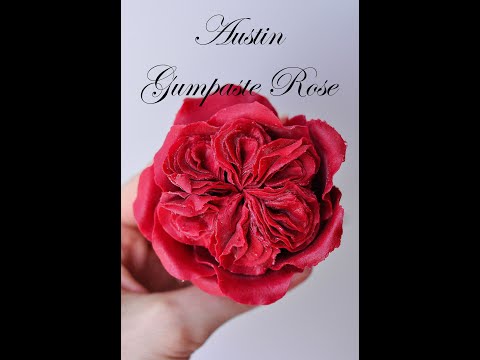 Видео: David Austin Gumpaste Rose tutorial. Роза Остина из мастики