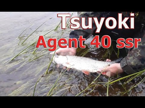 Видео: КРЕНКИ TSUYOKI ОТЛИЧНО ЛОВЯТ! Рыбалка на голавля и язя на перекате. Agent 40ssr и Chef 38sr