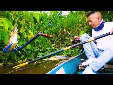 Видео: Удивительная рыбалка. Сегодня большие креветки голодные.