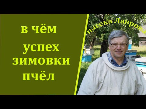 Видео: Что нужно сделать, чтобы пчелосемьи успешно перезимовали?