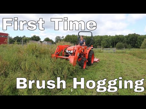 Видео: Впервые использую щетку-кабанчик!